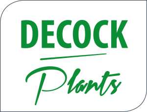 decock-plants-logo-2018-official-zwarte-rand